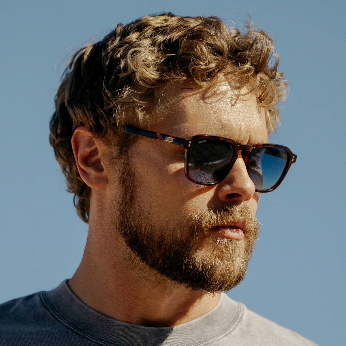 FRANCIS Men's Square Modern Retro Sunglasses in Brown Tortoise by WMP Eyewear