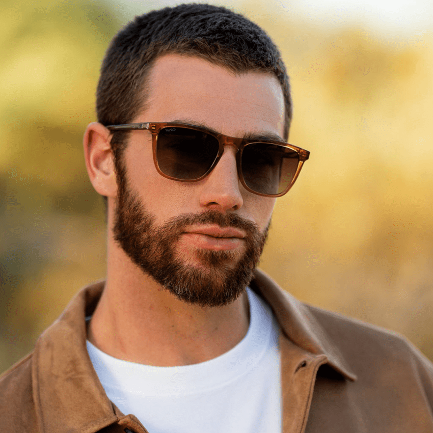WESLEY Polarized Men's Sunglasses in Crystal Brown by WMP Eyewear