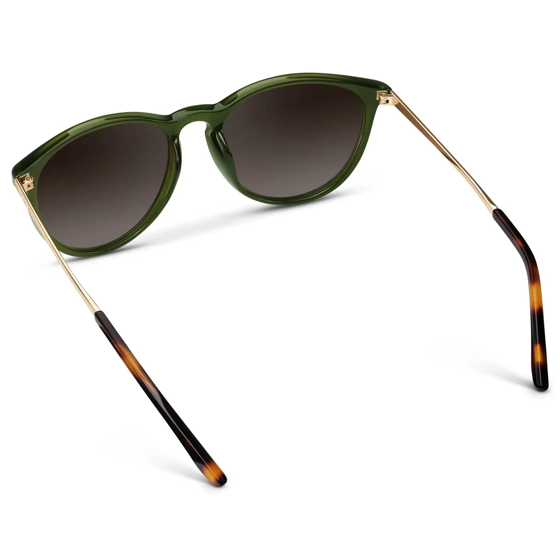 DREW Round Polarised Women's Sunglasses in Olive Green/Gold by WMP Eyewear