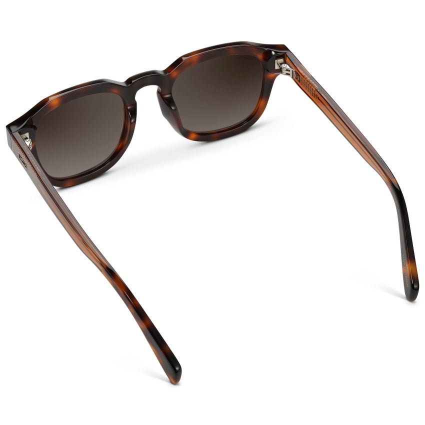 NELSON Retro Thick Framed Polarized Men's Sunglasses in Tortoise by WMP Eyewear