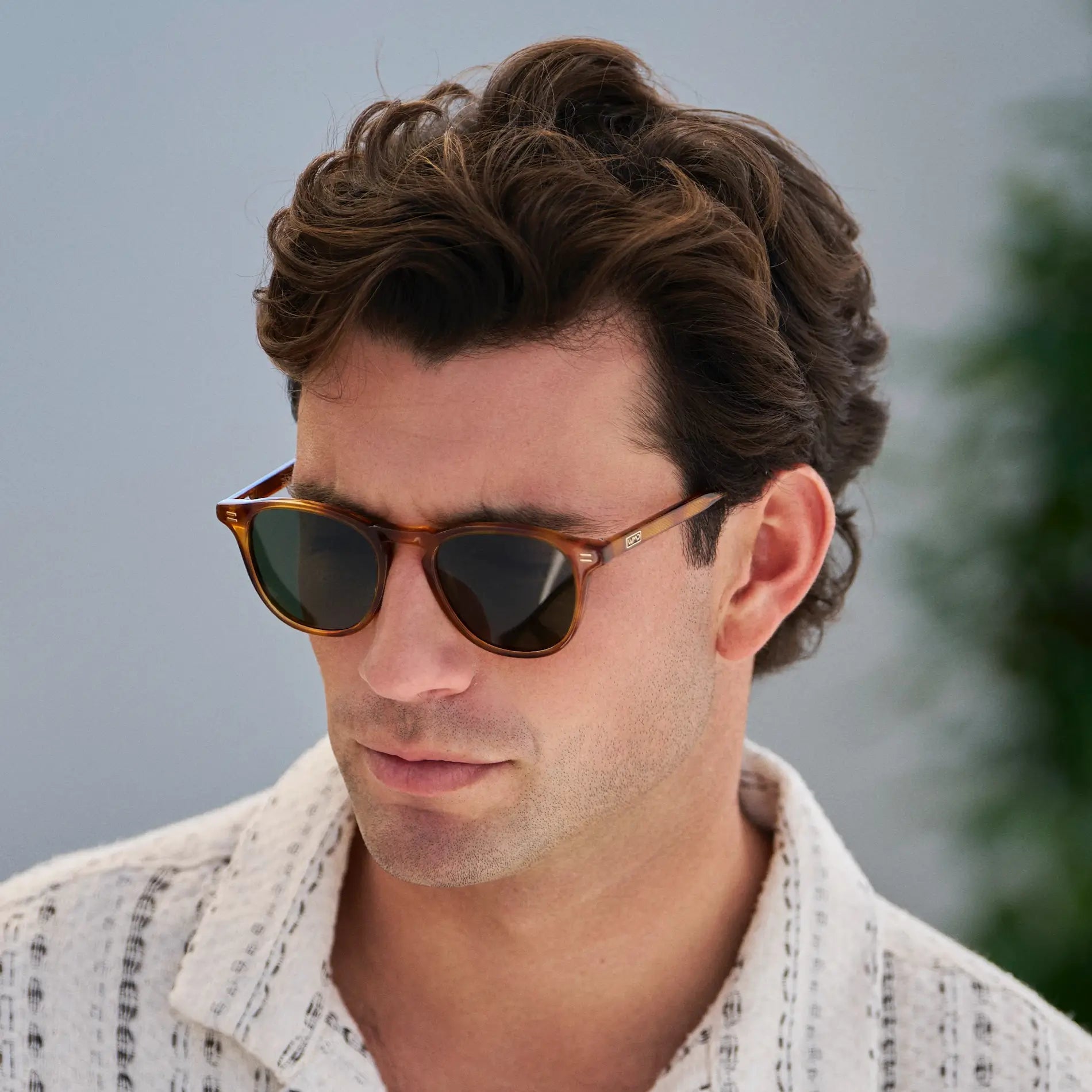 CAMERON Men's Round Polarised Sunglasses l Honey Tortoise - WMP Eyewear