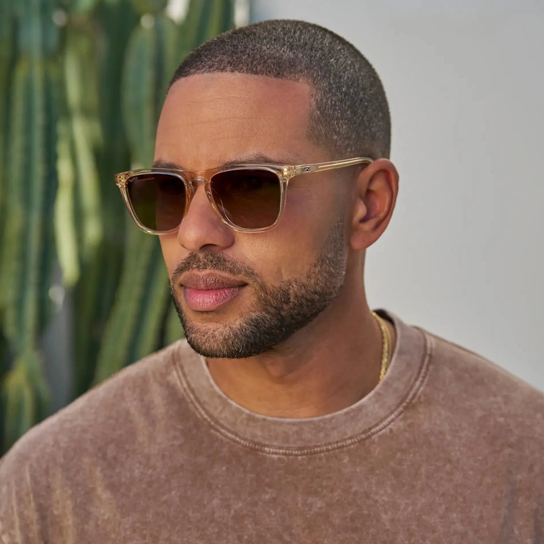 WESLEY Polarised Men's Sunglasses in Crystal Sand Brown WMP Eyewear