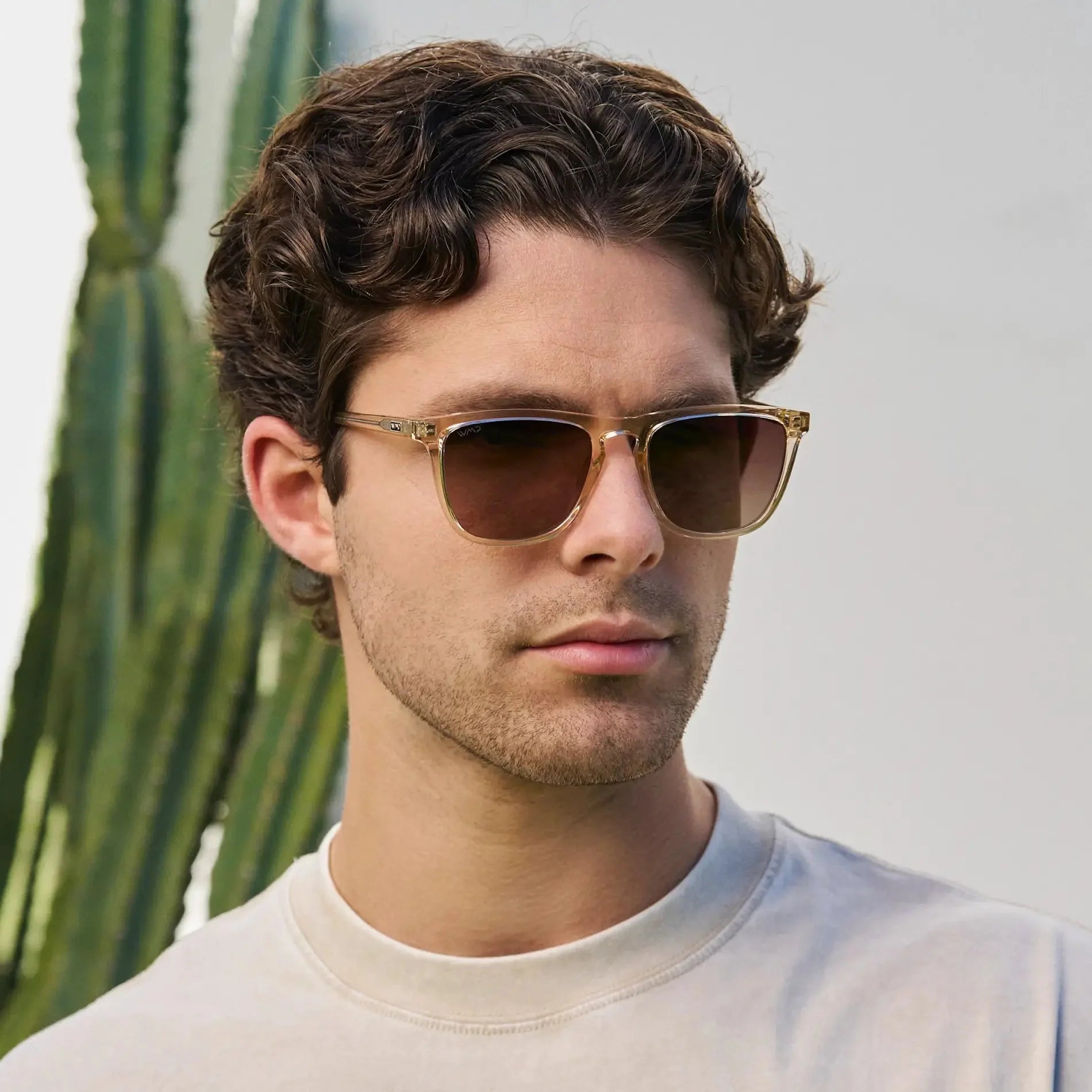 WESLEY Polarised Men's Sunglasses in Crystal Sand Brown WMP Eyewear